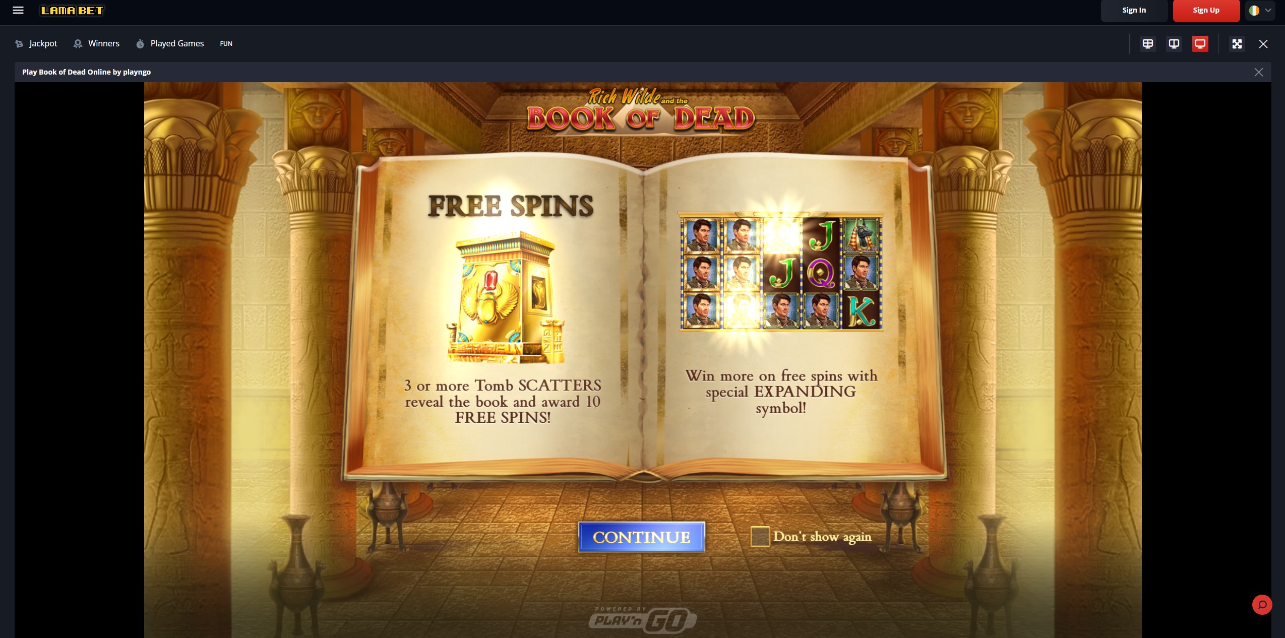 Schermata del popolare gioco di slot Book of Dead